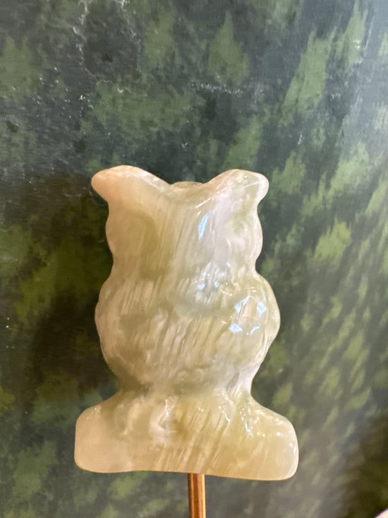3/16 Owl