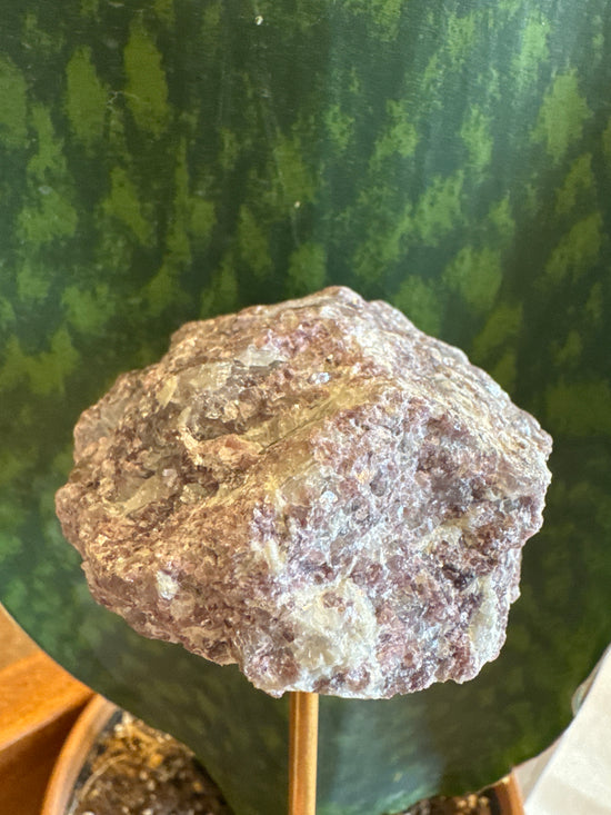 4/25 Lepidolite Card Holder