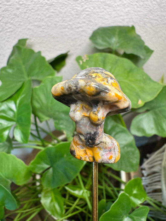 5/16 Bumblebee Jasper Mushroom Goddess