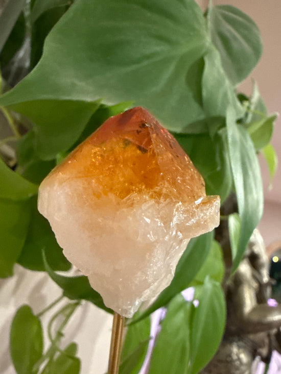 MG Citrine