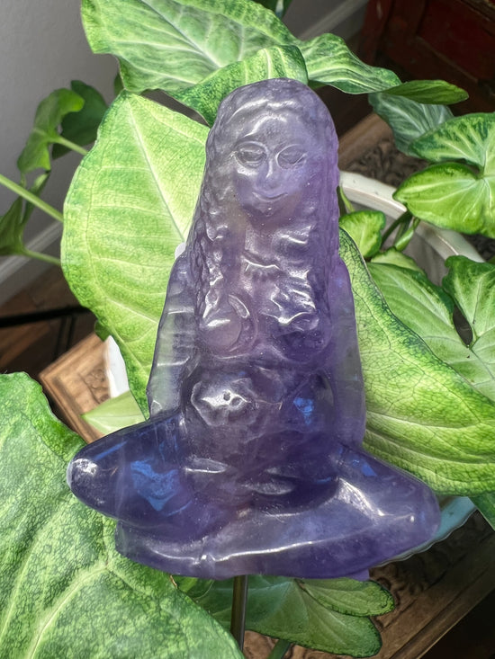 9/17 Mama Gaia Fluorite Plant Crystal