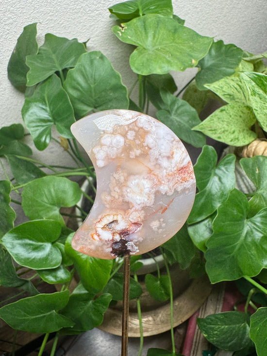 5/23 Flower Agate Moon