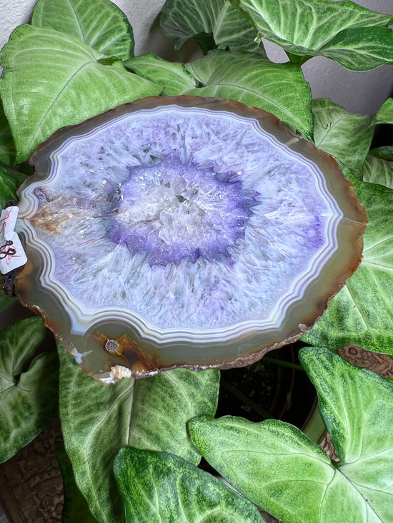 8/27 Amethyst Agate Altar Base Plant Crystal