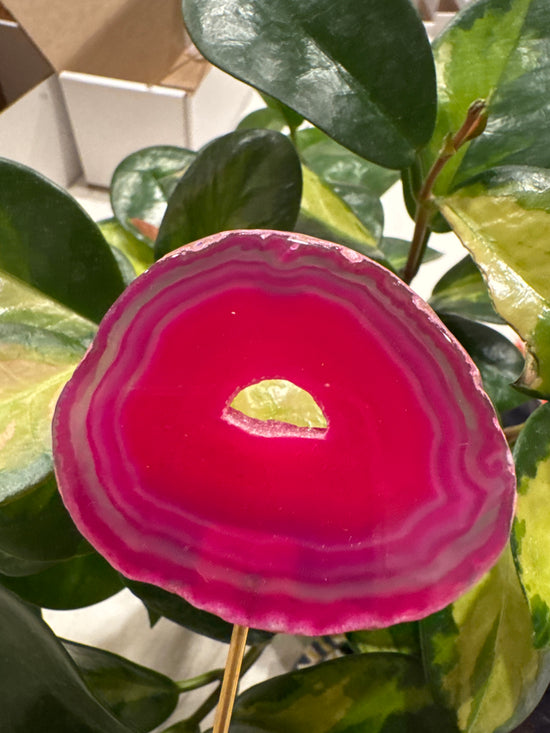 4/13 Pink Agate
