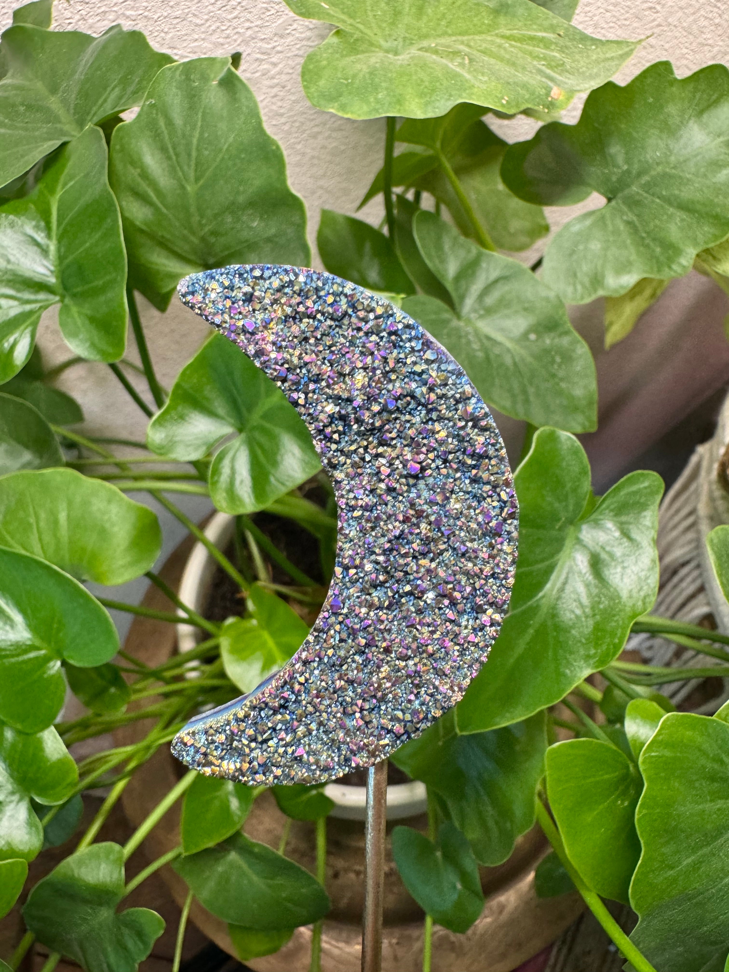 5/16 Rainbow Titanium Moon – Plant Crystals