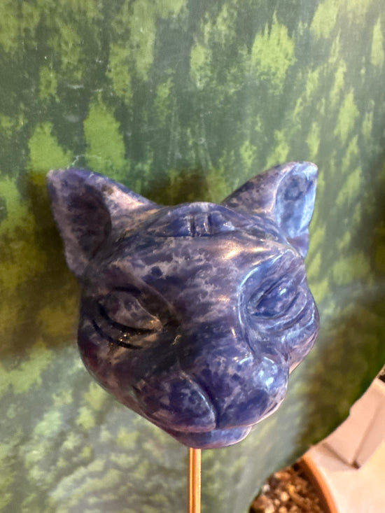 3/16 Cat