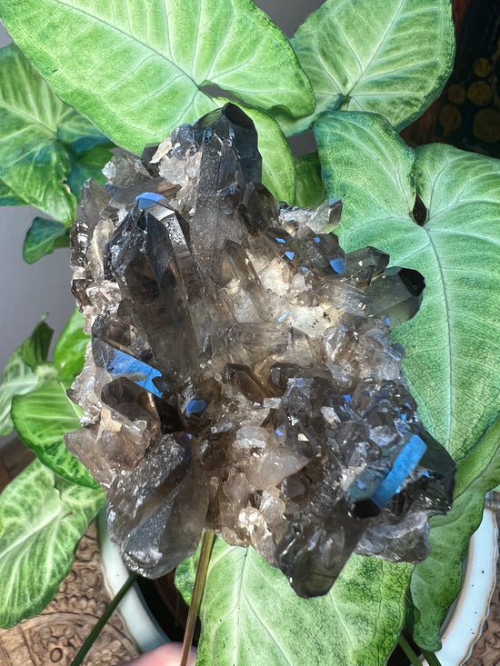 9/17 Smokey Quartz Cluster