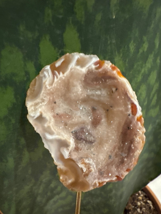 3/30 Agate Geode