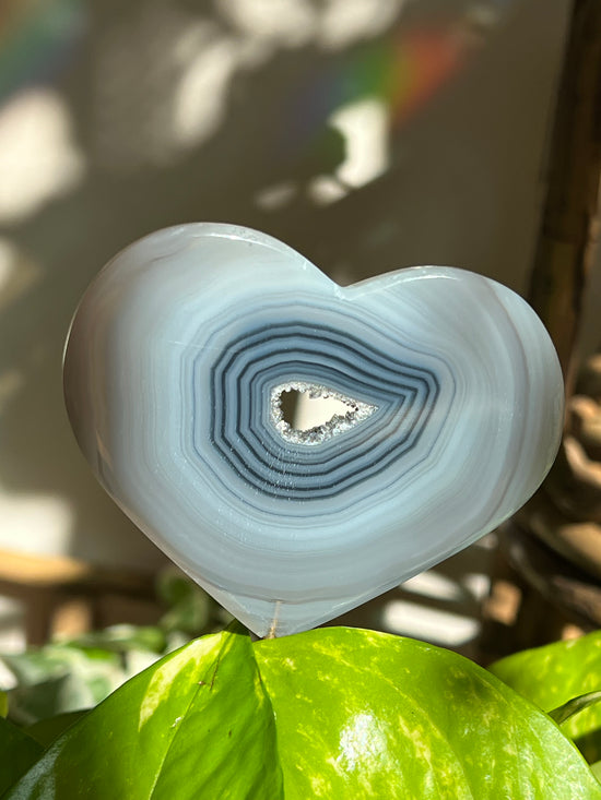 Agate Heart Plant Crystal