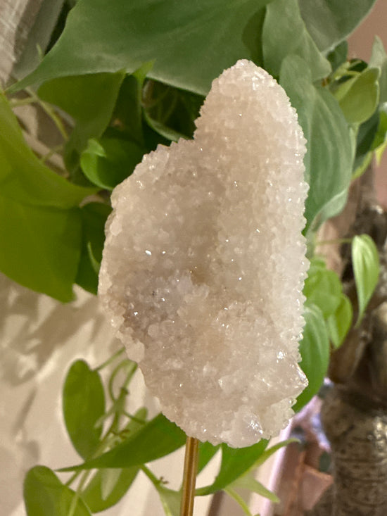 MG Spirit Quartz