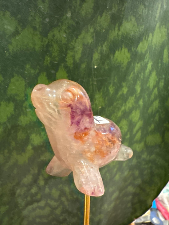 5/4 Seal