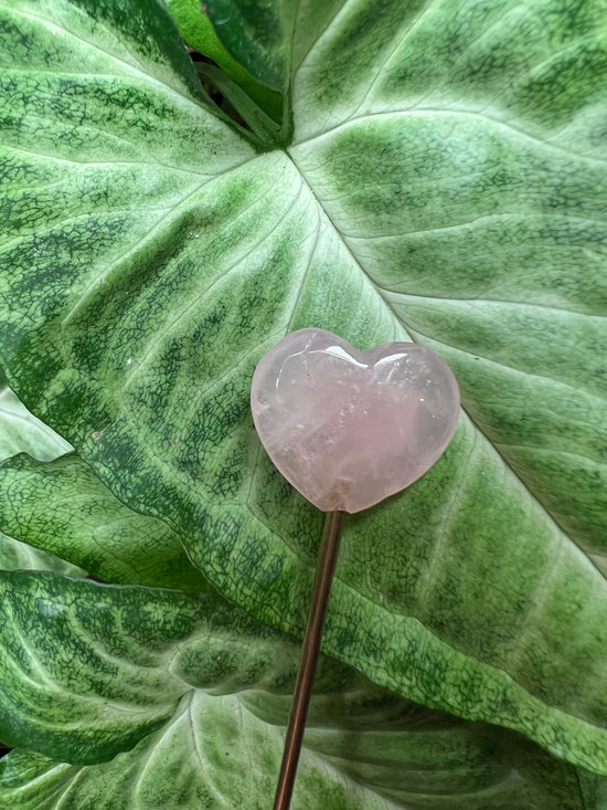 9/24 Mini Rose Quartz Heart Plant Crystal