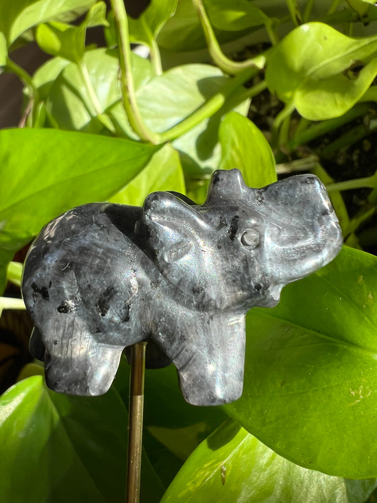 Ellie the Elephant Labradorite Plant Crystal