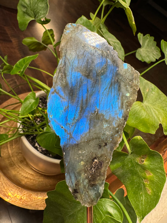 8/29 Labradorite