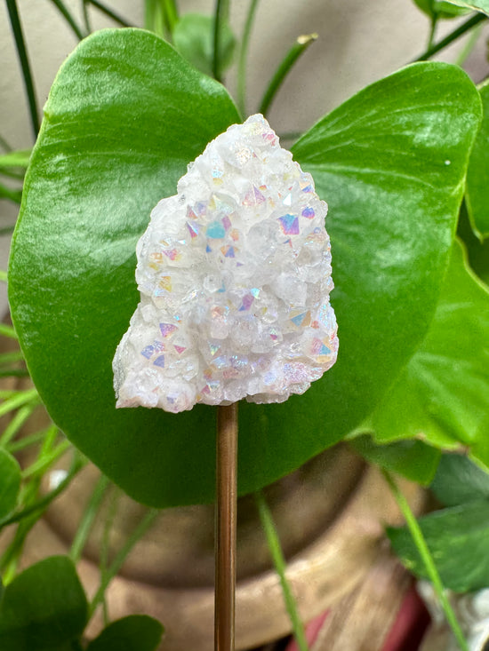 6/9 Mini Angel Aura