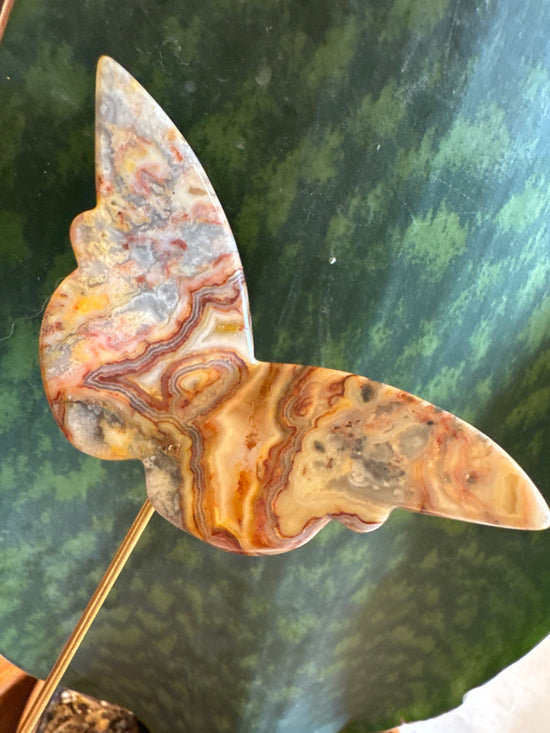 4/25 Mexican Lace agate butterfly