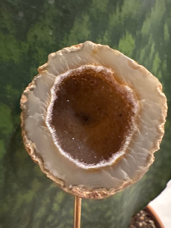 3/30 Citrine Geode