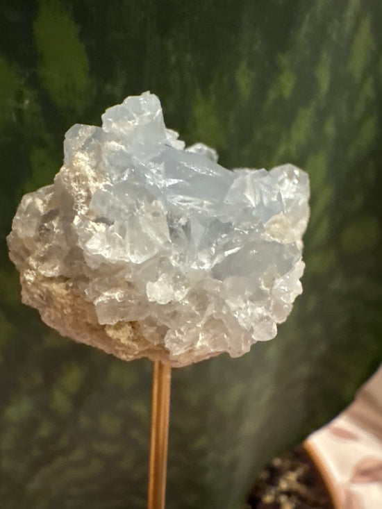 3/2 Celestite