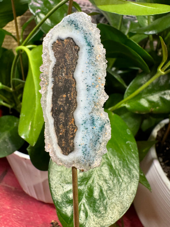 8/22 Mini Stalactite with resin leaf