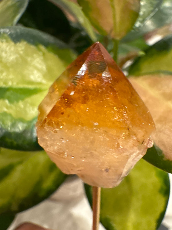 4/13 Mini Citrine