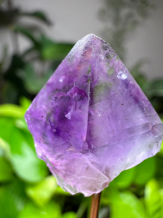 Mini Amethyst Point Plant Crystal