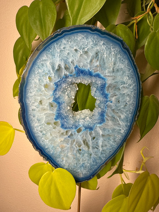 Blu Boheme Agate Plant Crystal w/ portal