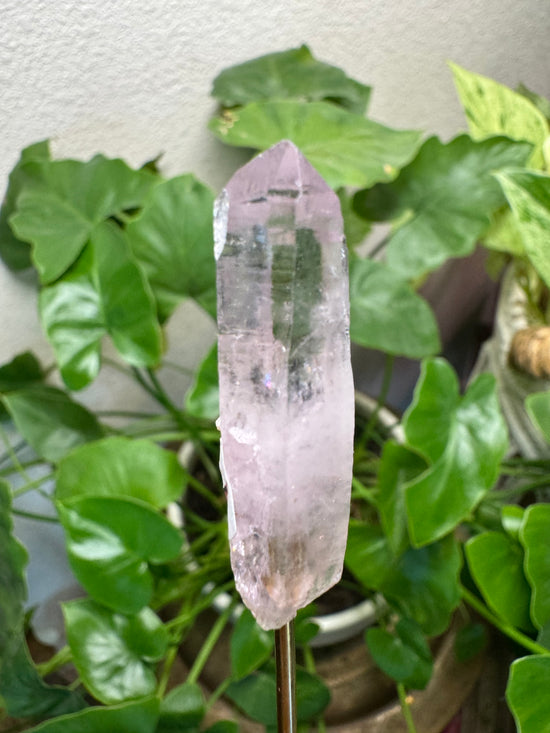 5/16 Mini Lemurian Amethyst