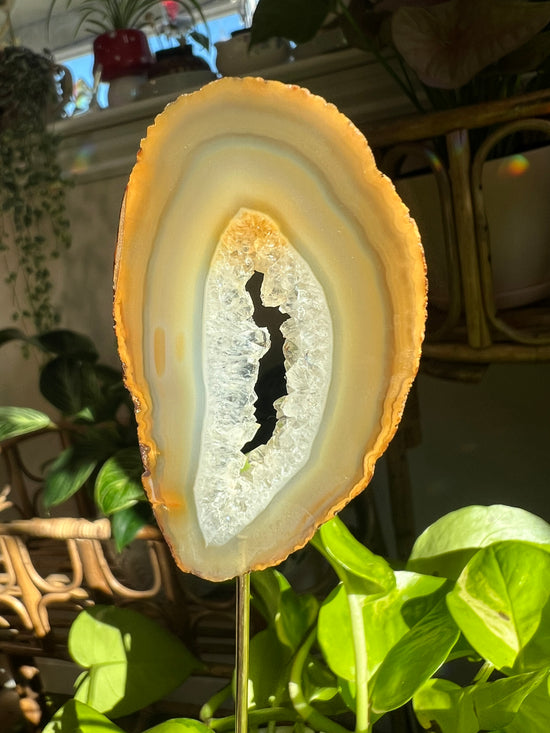 Bali Agate Plant Crystal