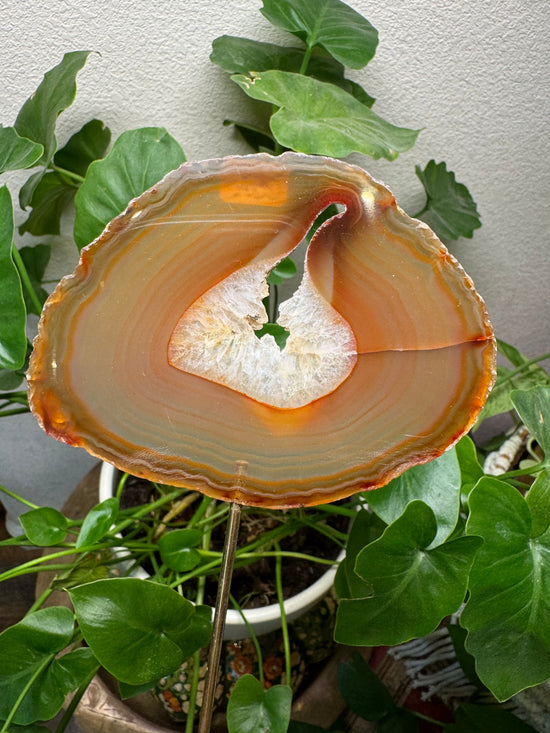 6/20 Agate