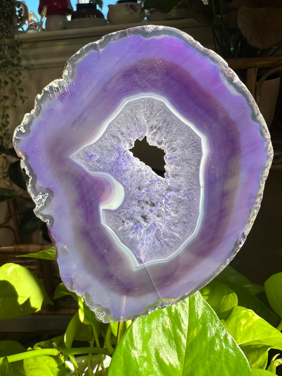 Calmness Large Purple Agate Plant Crystal