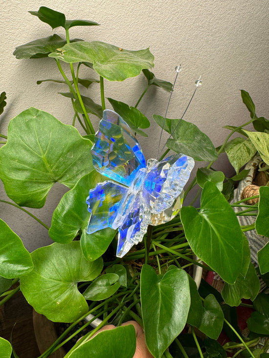 Aura Rainbow Butterfly Plant Crystal Suncatcher