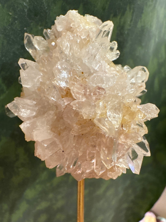 5/5 Pink Lemurian