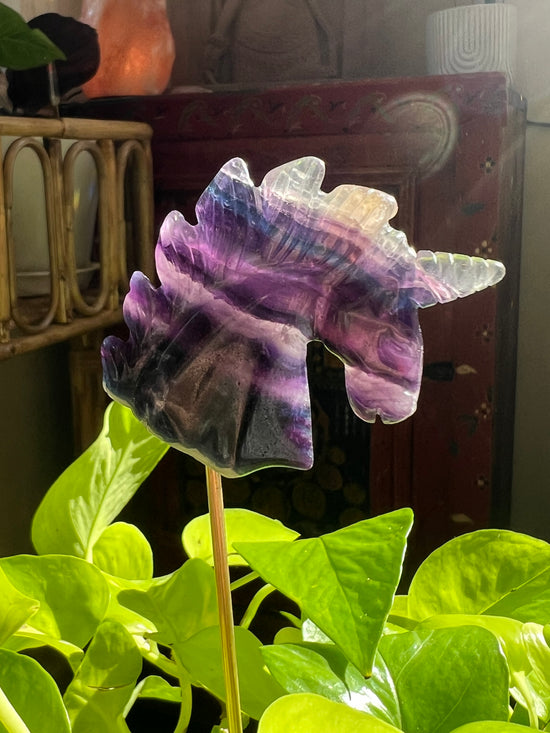 Rainbow the Fluorite Unicorn Plant Crystal