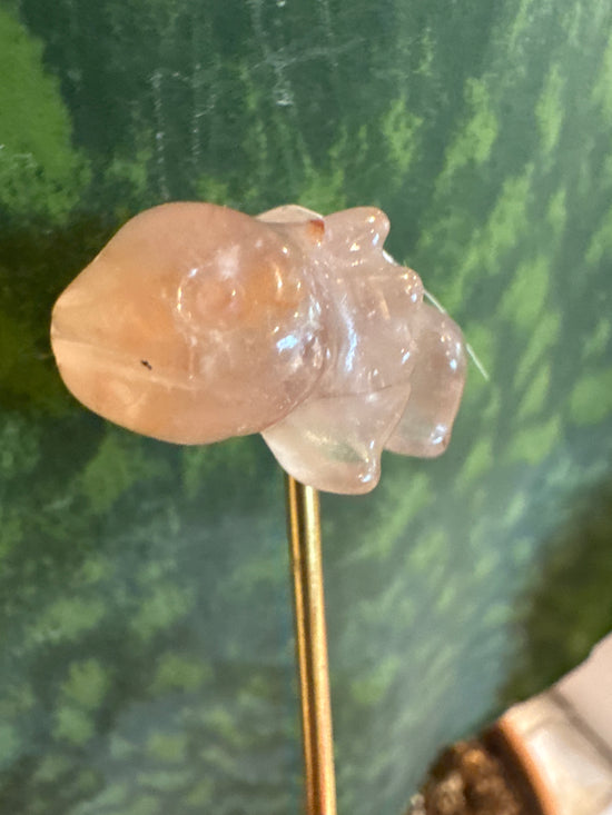 5/9 Mini Oxylottl