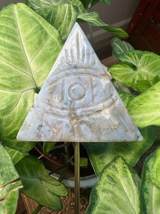 9/17 All Seeing Eye Plant Crystal