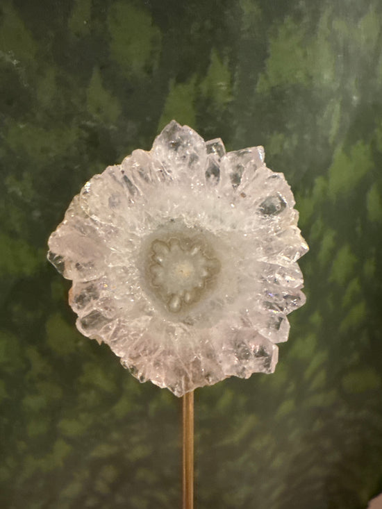 3/2 Mini Flower