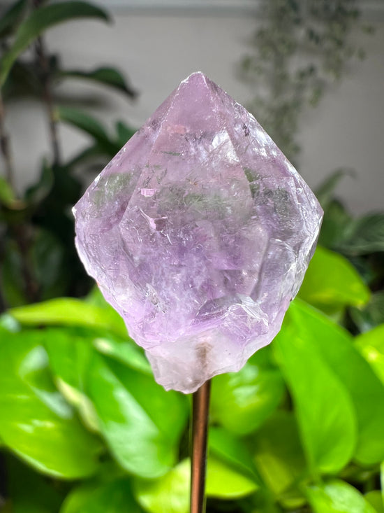 Mini Lavender Quartz Plant Crystal