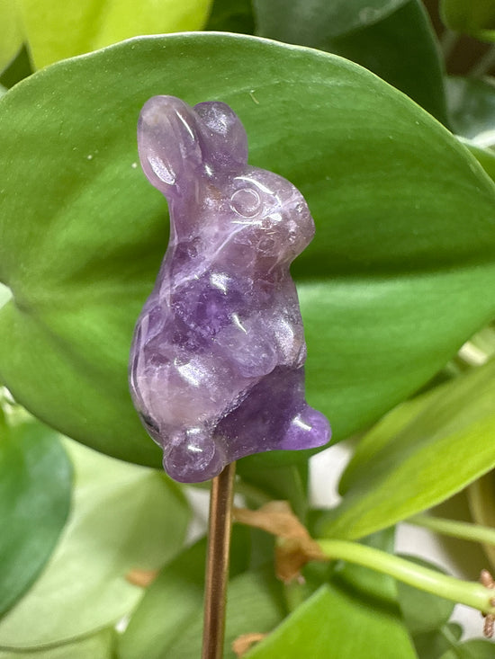 Plum Amethyst Mini Bunny