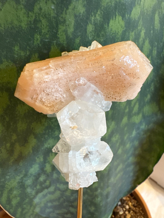 3/16 Apophyllite