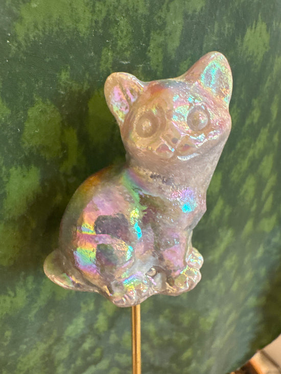 5/9 Aura kitty