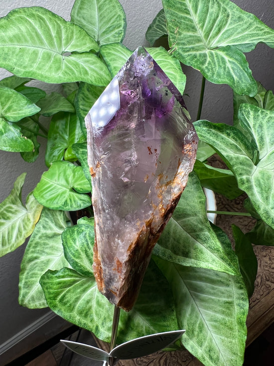 9/24 Premium Amethyst Plant Crystal