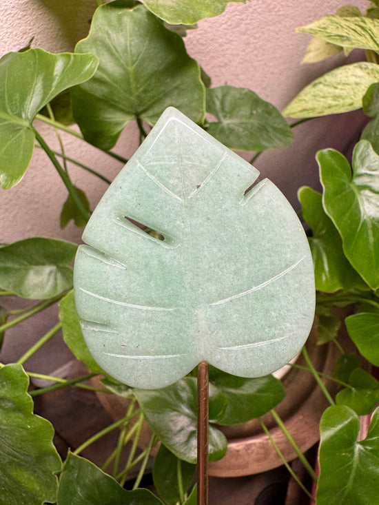 4/11 Aventurine Monstera Leaf