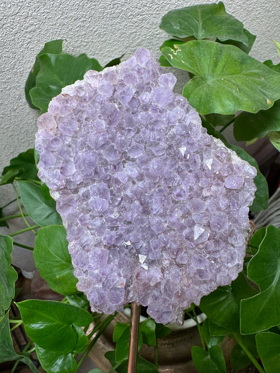 5/19 Amethyst Slab