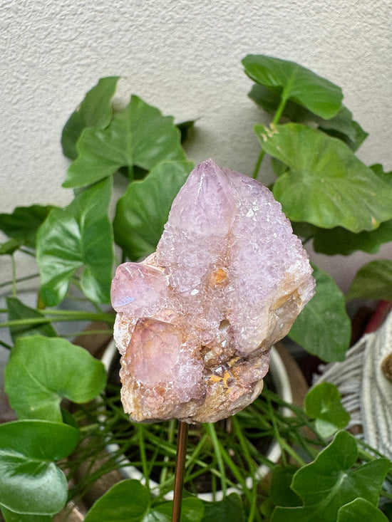 5/26 Ametrine Spirit Quartz