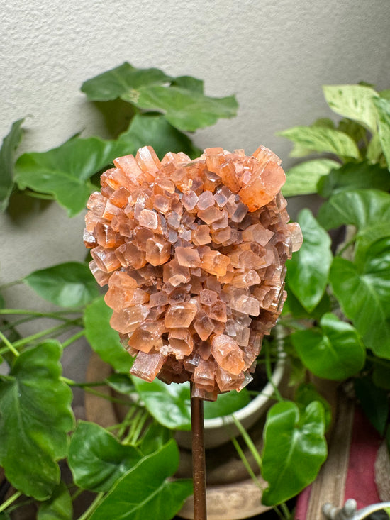 4/11 Aragonite