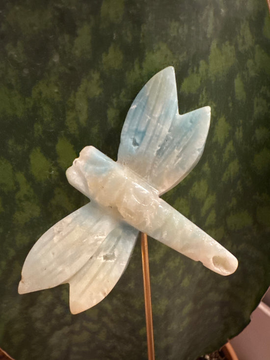 Mamadncr - Amazonite Dragonfly
