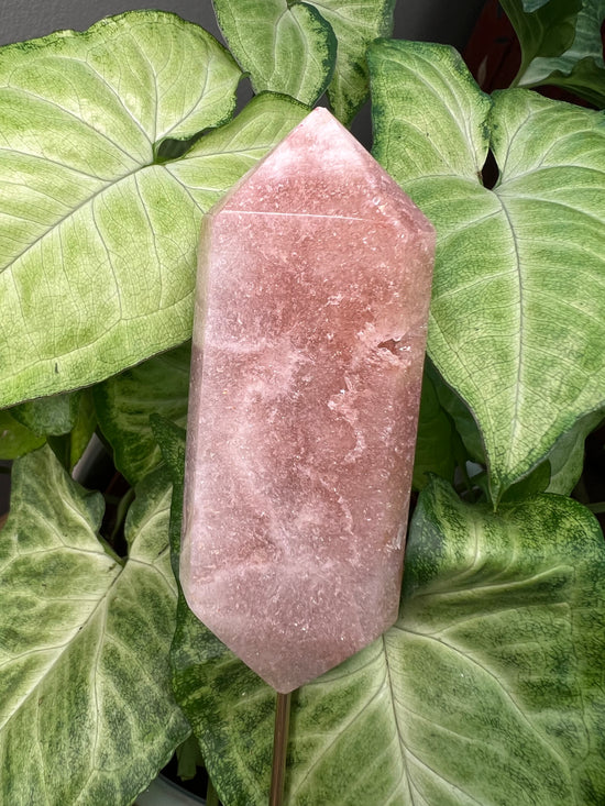 8/23 Pink Amethyst DT Plant Crystal