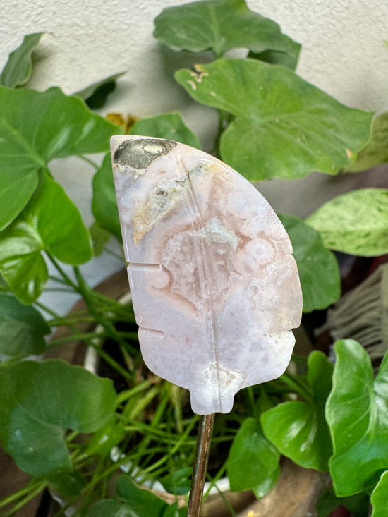 4/25 Flower Agate Leaf