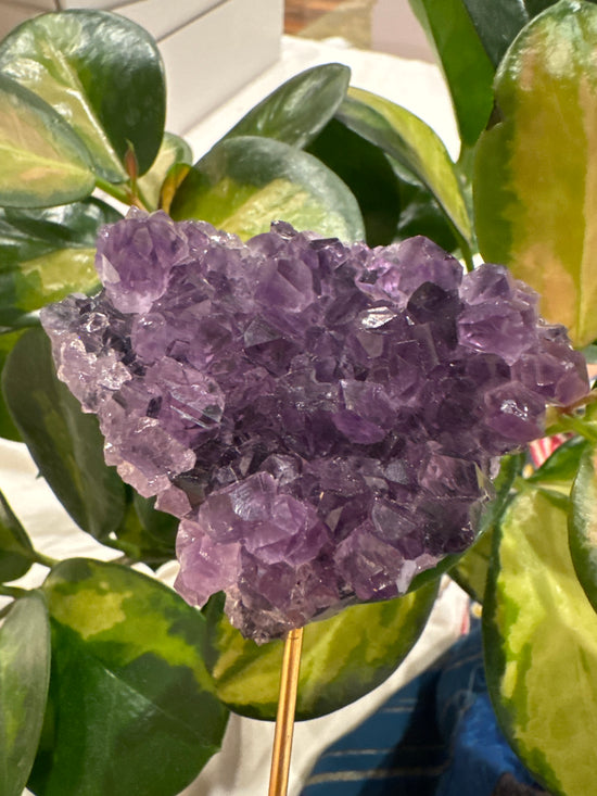 4/11 Amethyst