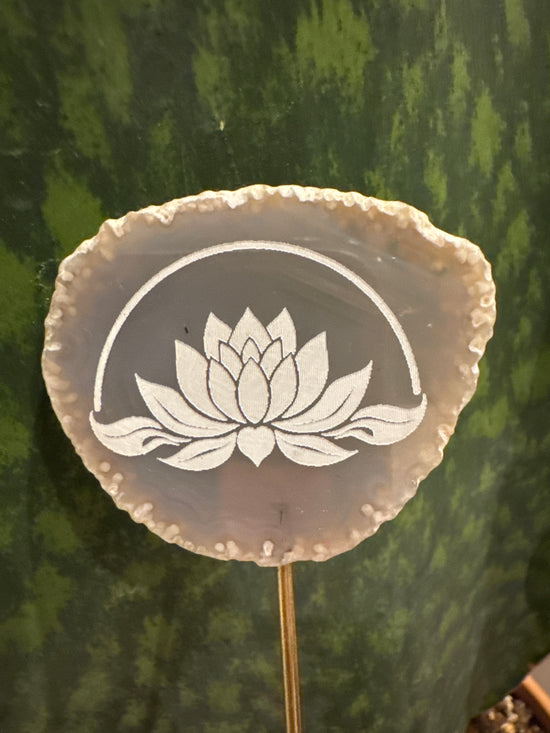3/28 Lotus agate